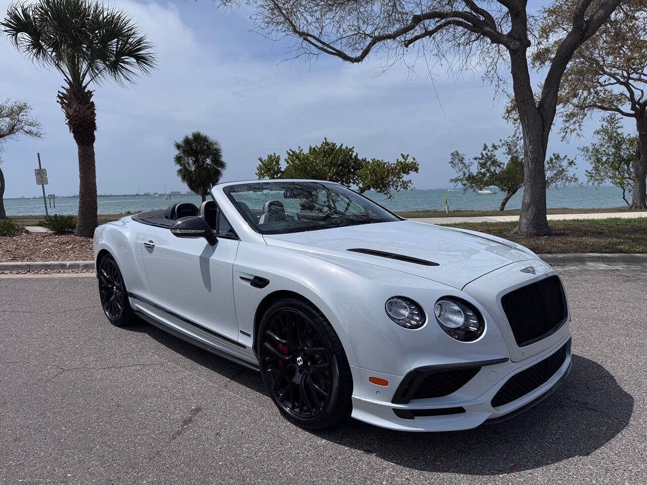 Used 2018 Bentley Continental GT Supersports image 3