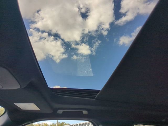 New 2025 Ford Expedition Tremor image 11