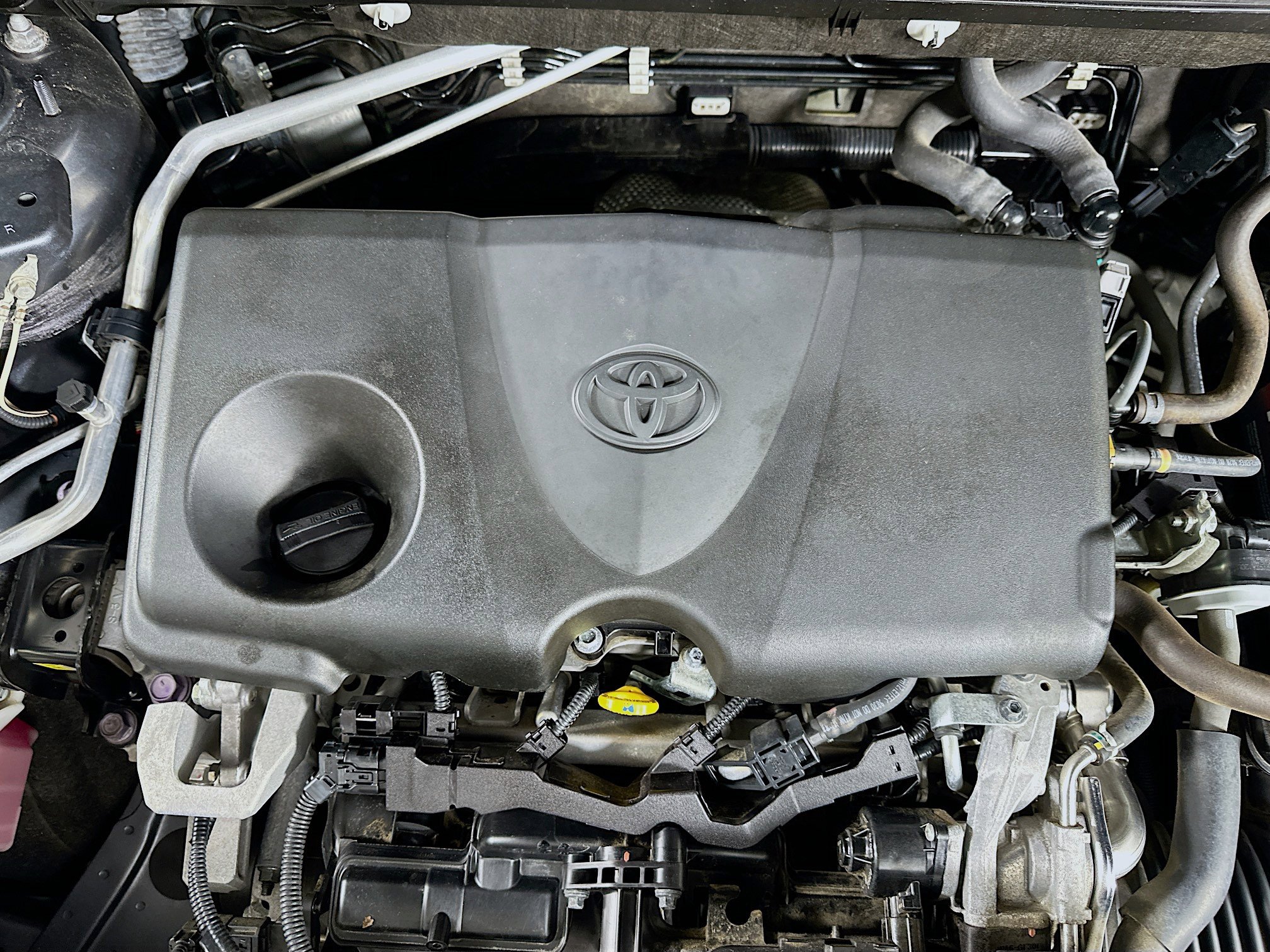 Used 2019 Toyota RAV4 XLE Premium w/ Cold Weather Package image 34