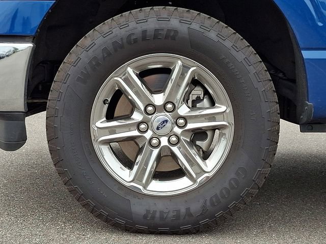 Used 2025 Ford F150 XLT w/ Equipment Group 301A Standard AWD/4WD image 8