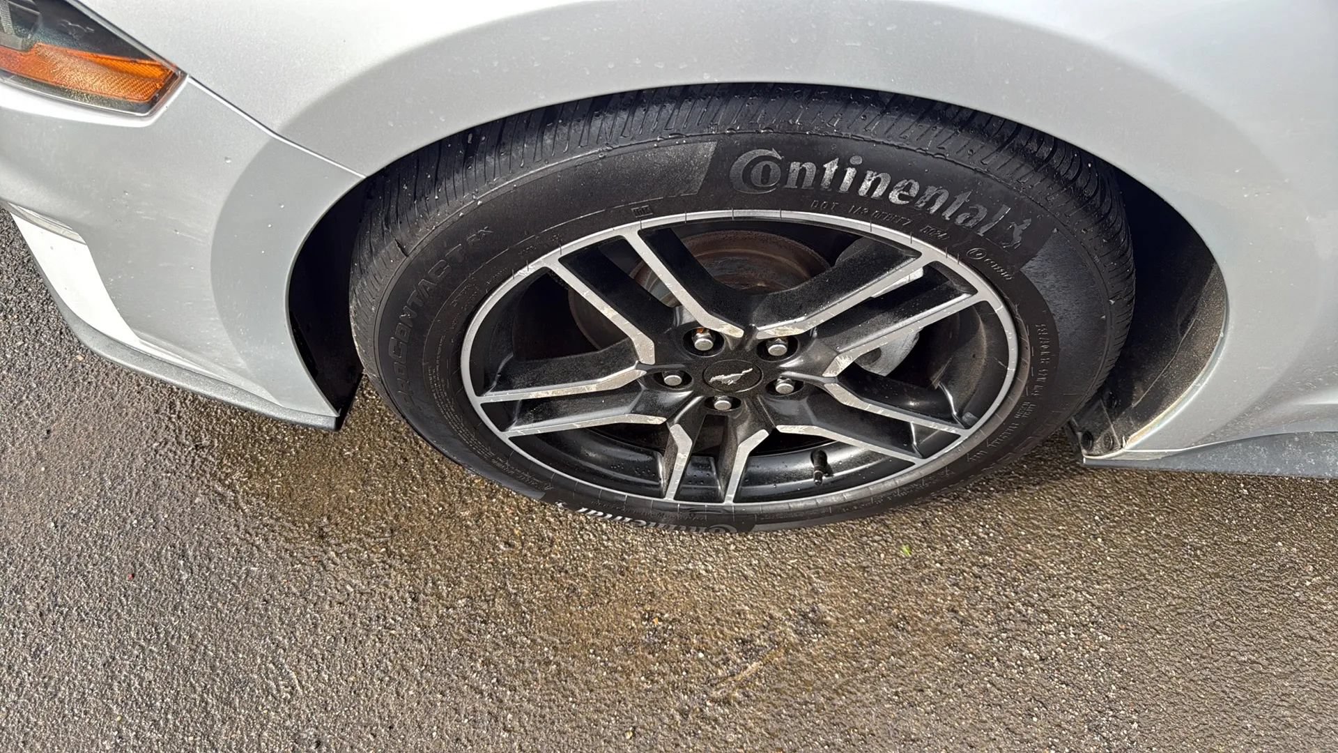 Used 2018 Ford Mustang Premium RWD image 41