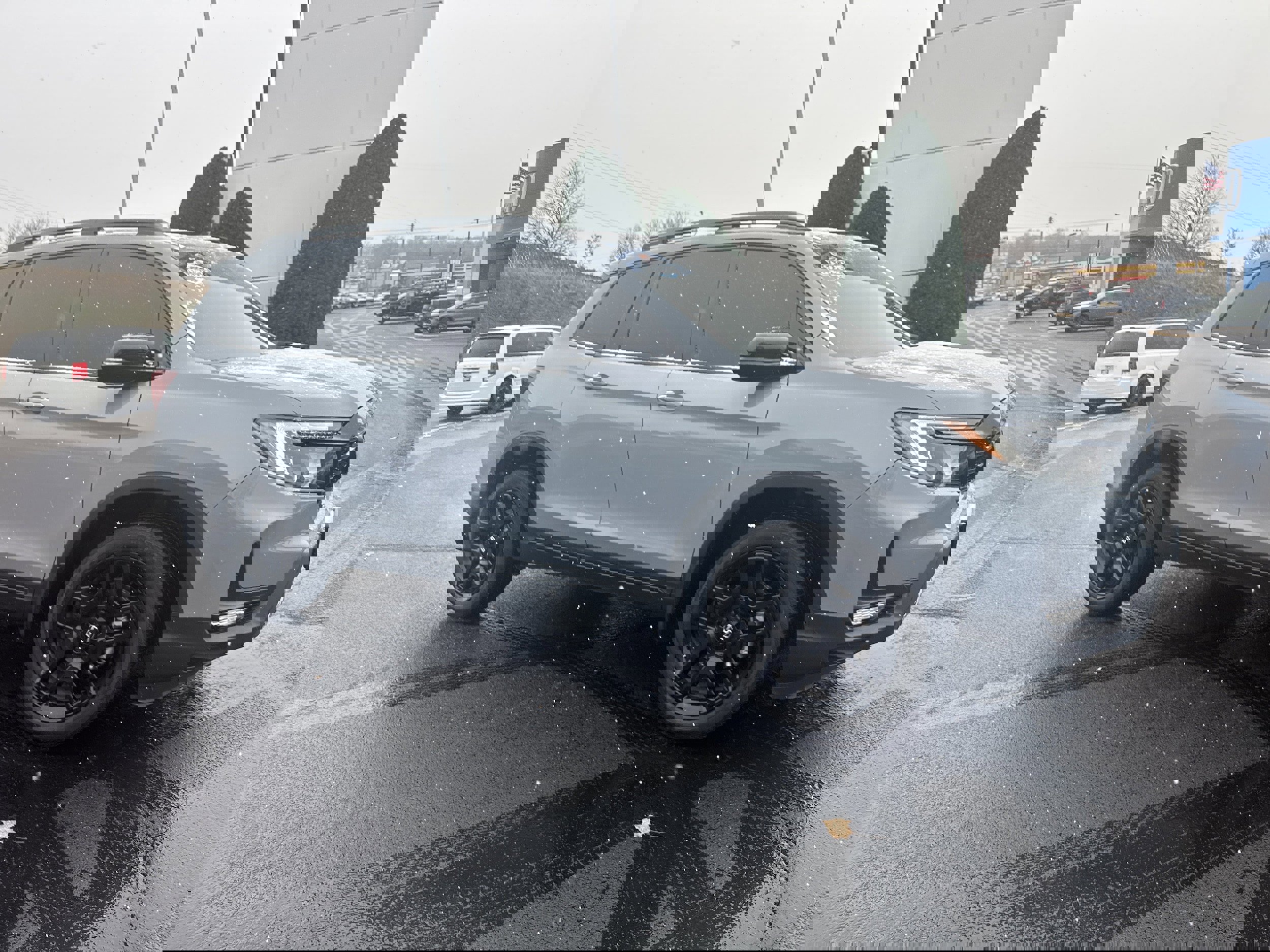 Used 2025 Honda Passport Black Edition image 1