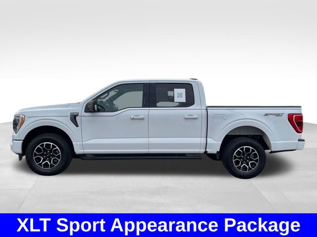 Used 2023 Ford F150 XLT w/ Equipment Group 302A High AWD/4WD image 2