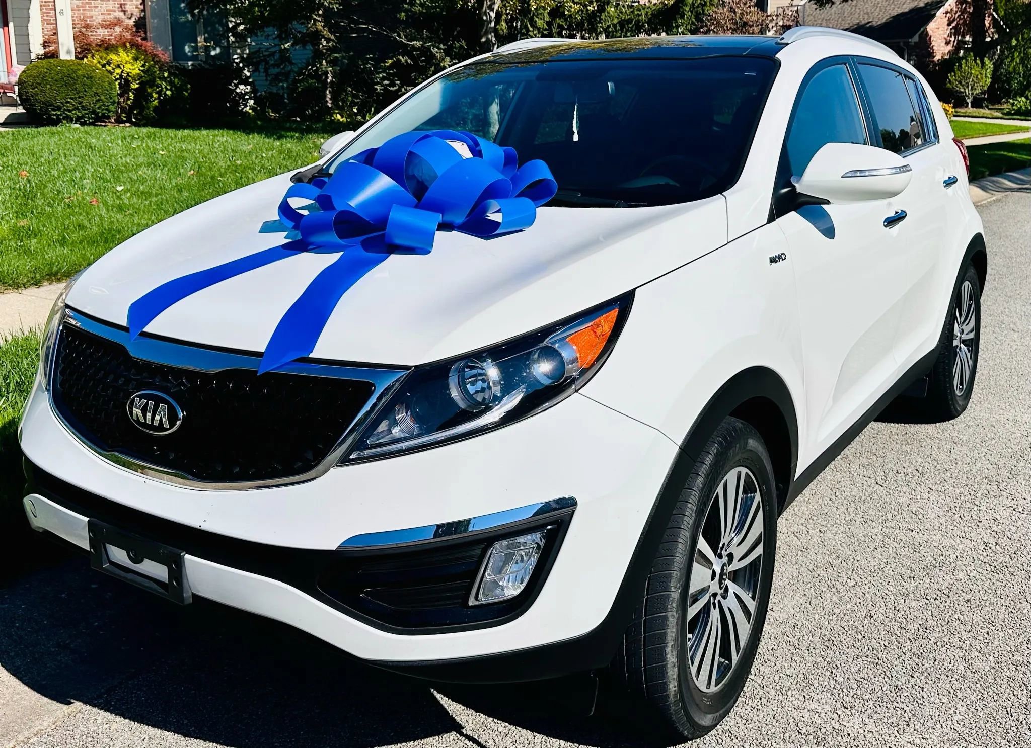 Used 2016 Kia Sportage EX w/ EX Premium Package image 3