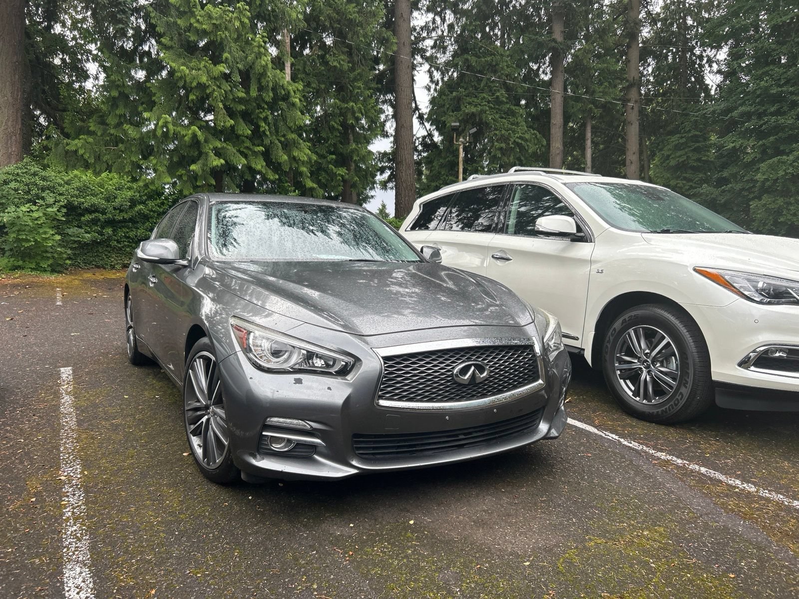Used 2015 INFINITI Q50 Premium w/ Navigation Package RWD image 3