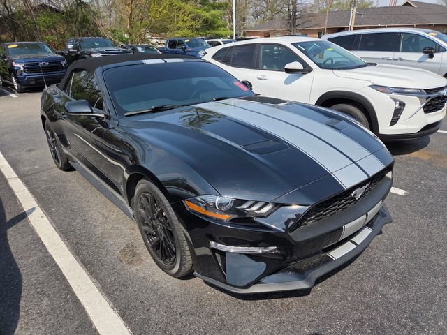 Used 2018 Ford Mustang Premium w/ Equipment Group 201A image 3