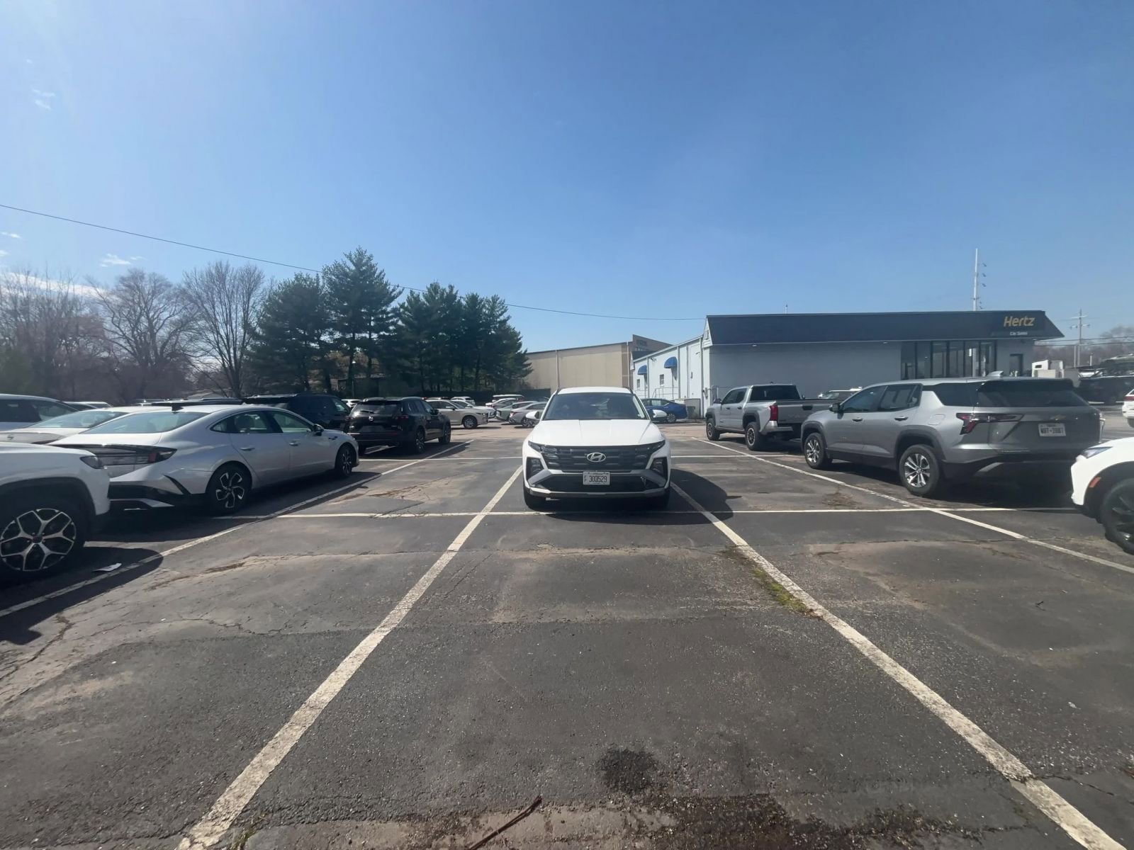 Used 2025 Hyundai Tucson SEL image 14