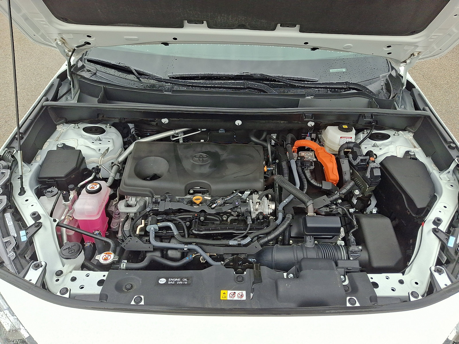 Used 2024 Toyota RAV4 LE image 25