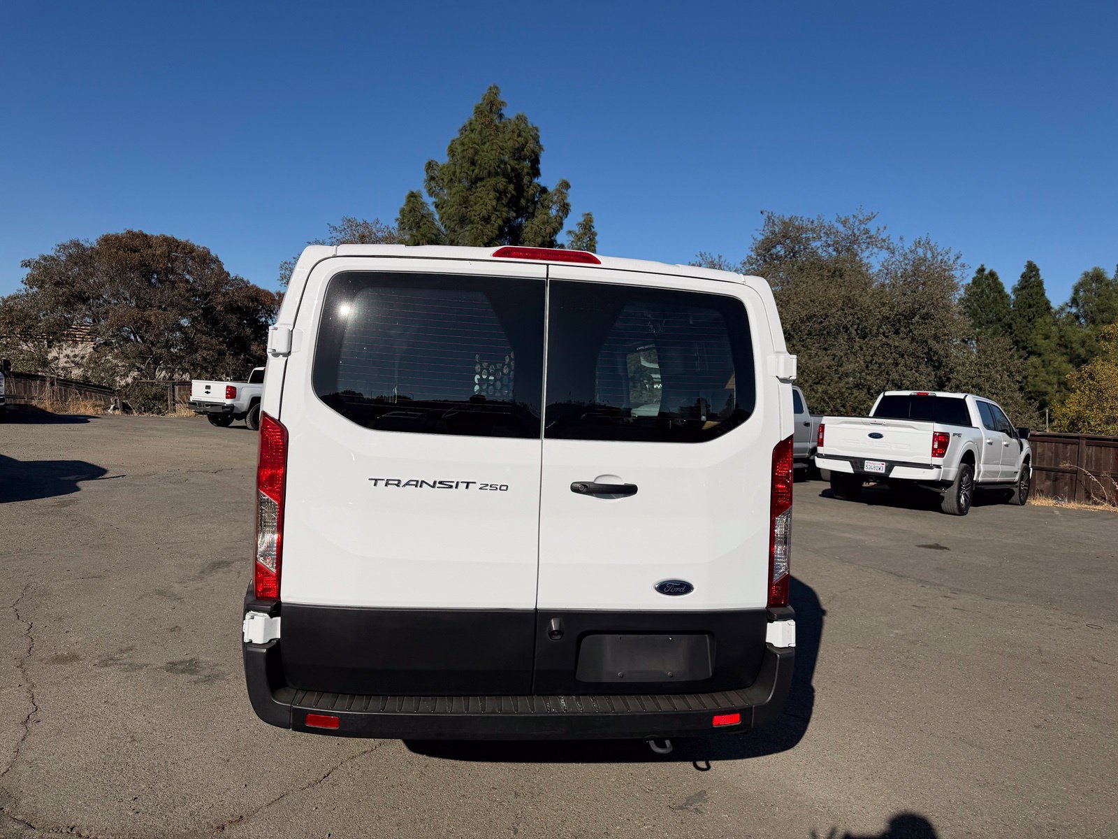 Certified 2025 Ford Transit 250 Low Roof w/ Exterior Upgrade Package RWD image 4