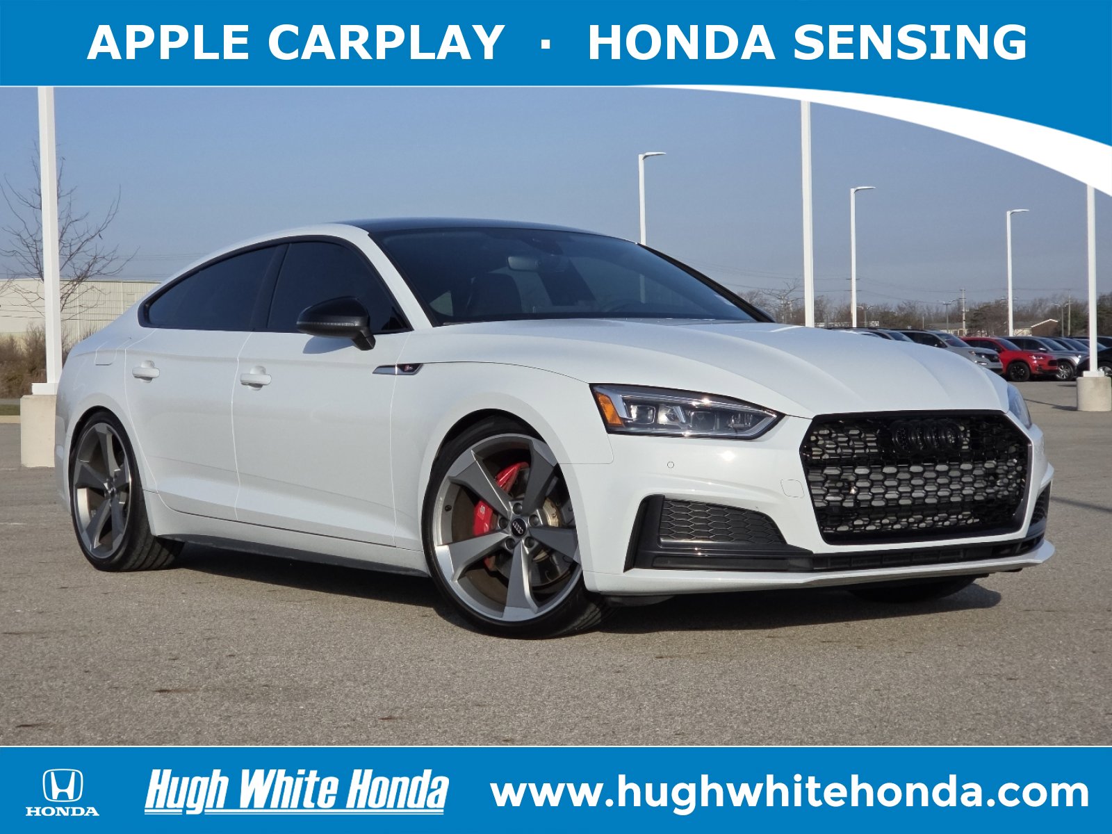 Used 2019 Audi S5 Premium Plus w/ Premium Plus
