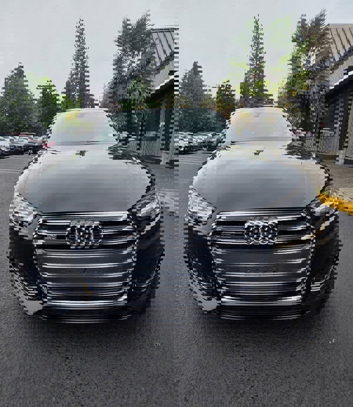 Used 2017 Audi A4 2.0T Premium Plus w/ Premium Plus Package image 5