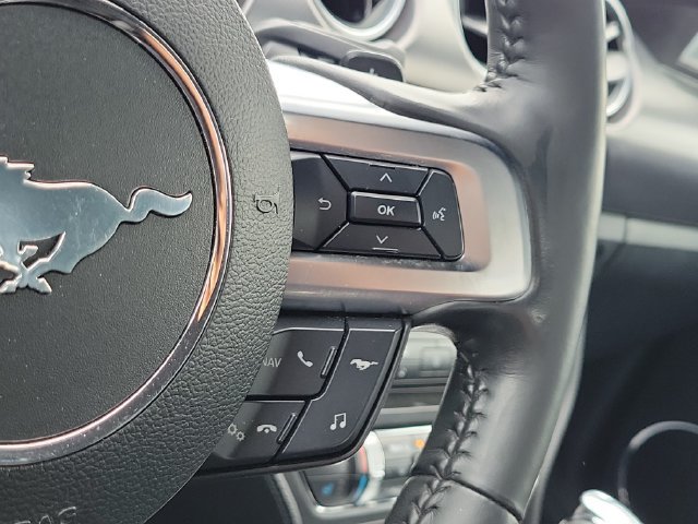 Used 2018 Ford Mustang Premium w/ Equipment Group 201A RWD image 12