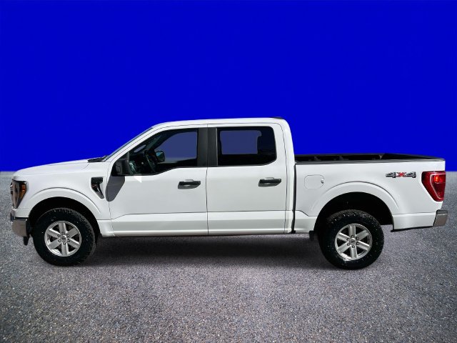 Used 2023 Ford F150 XLT w/ Trailer Tow Package AWD/4WD image 6