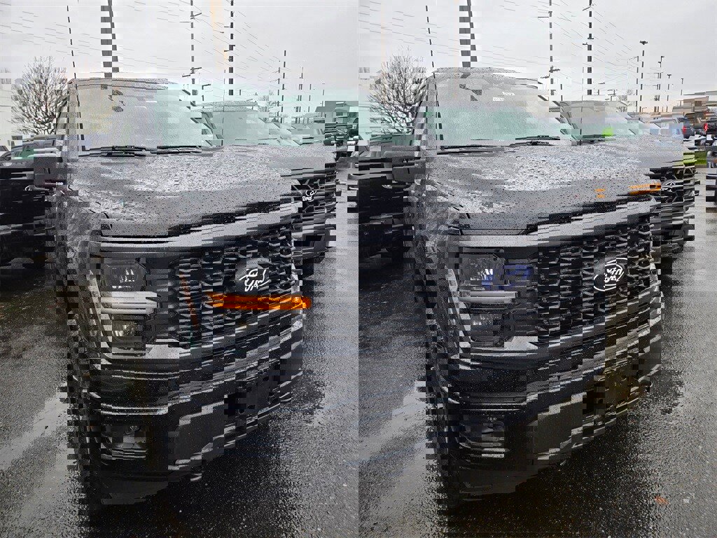 New 2025 Ford F150 STX w/ Equipment Group 200A image 3