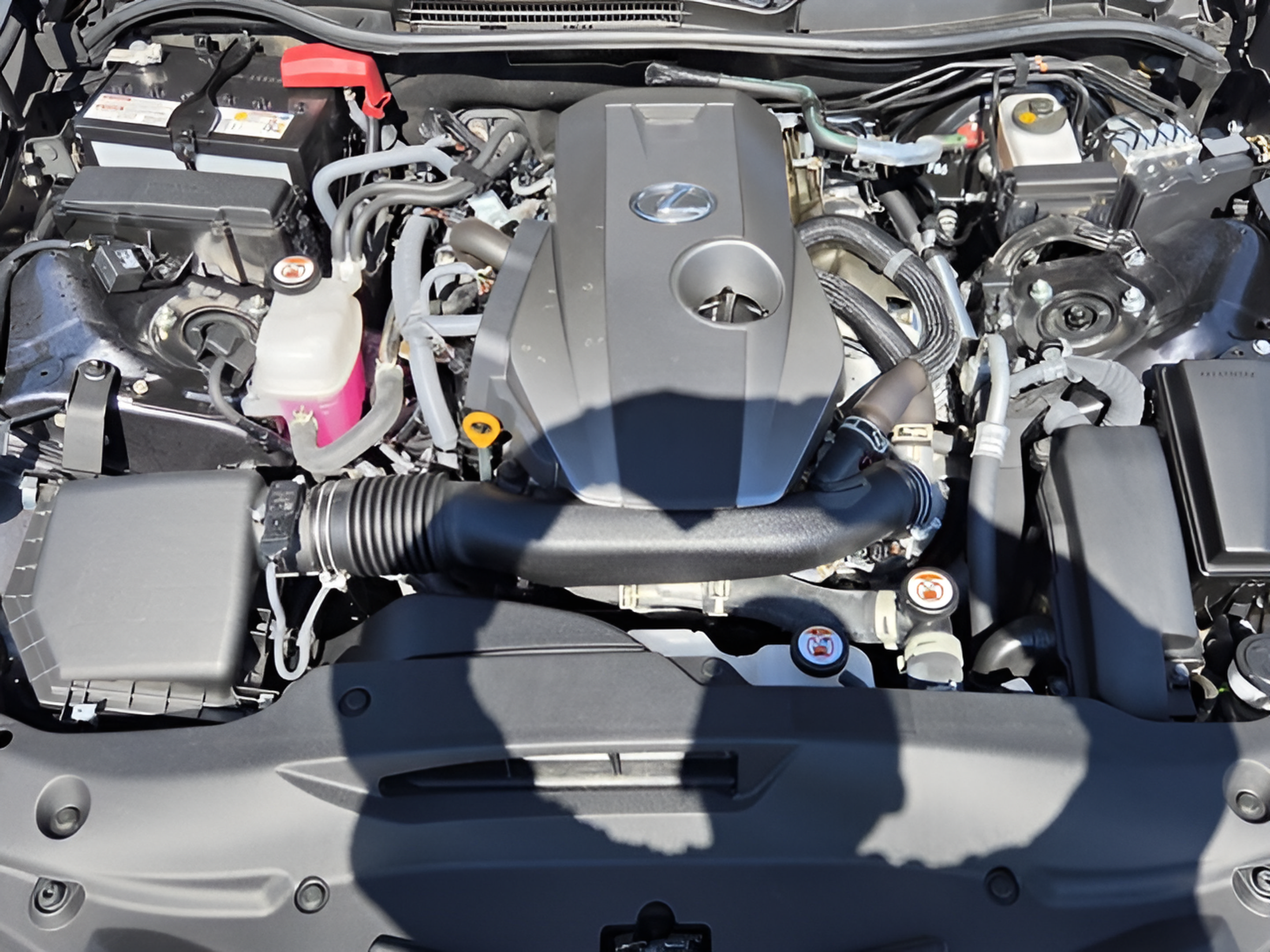 Certified 2025 Lexus IS 300 w/ Premium Package RWD image 9