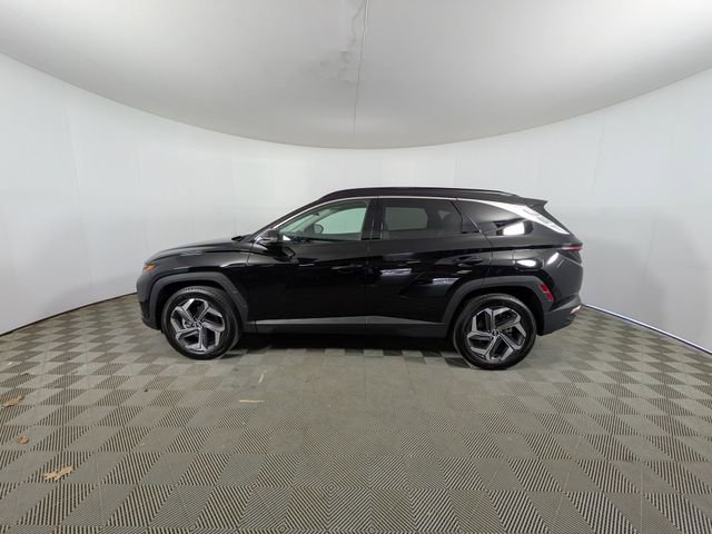 Used 2024 Hyundai Tucson Limited image 19