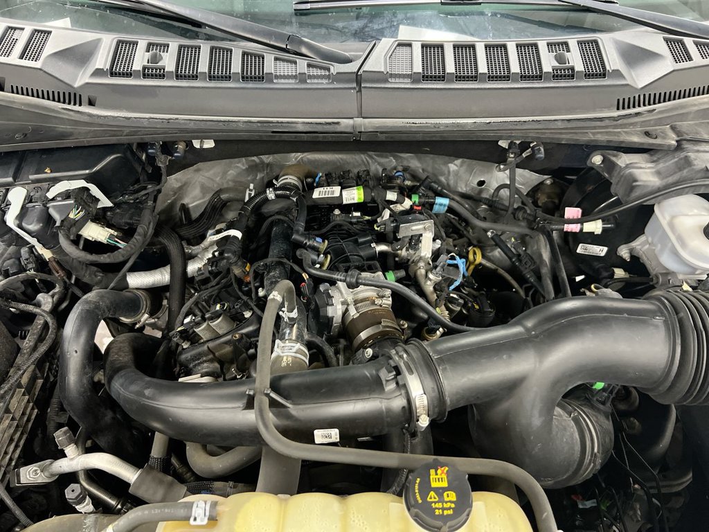 Used 2020 Ford F150 XL w/ Equipment Group 101A Mid AWD/4WD image 24