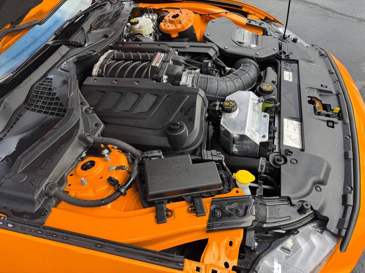 Used 2019 Ford Mustang GT w/ Equipment Group 301A image 17