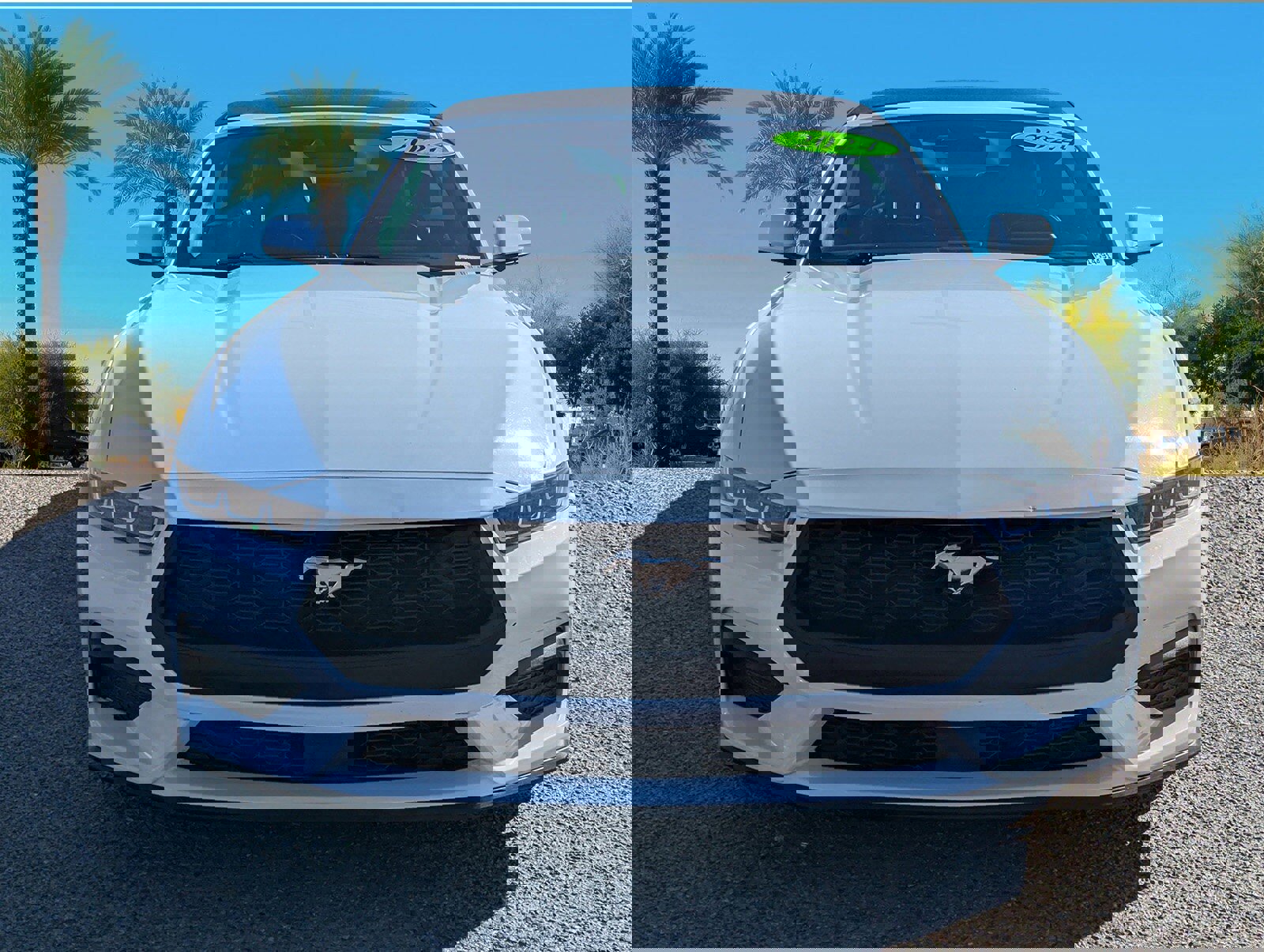 Certified 2024 Ford Mustang Premium image 8