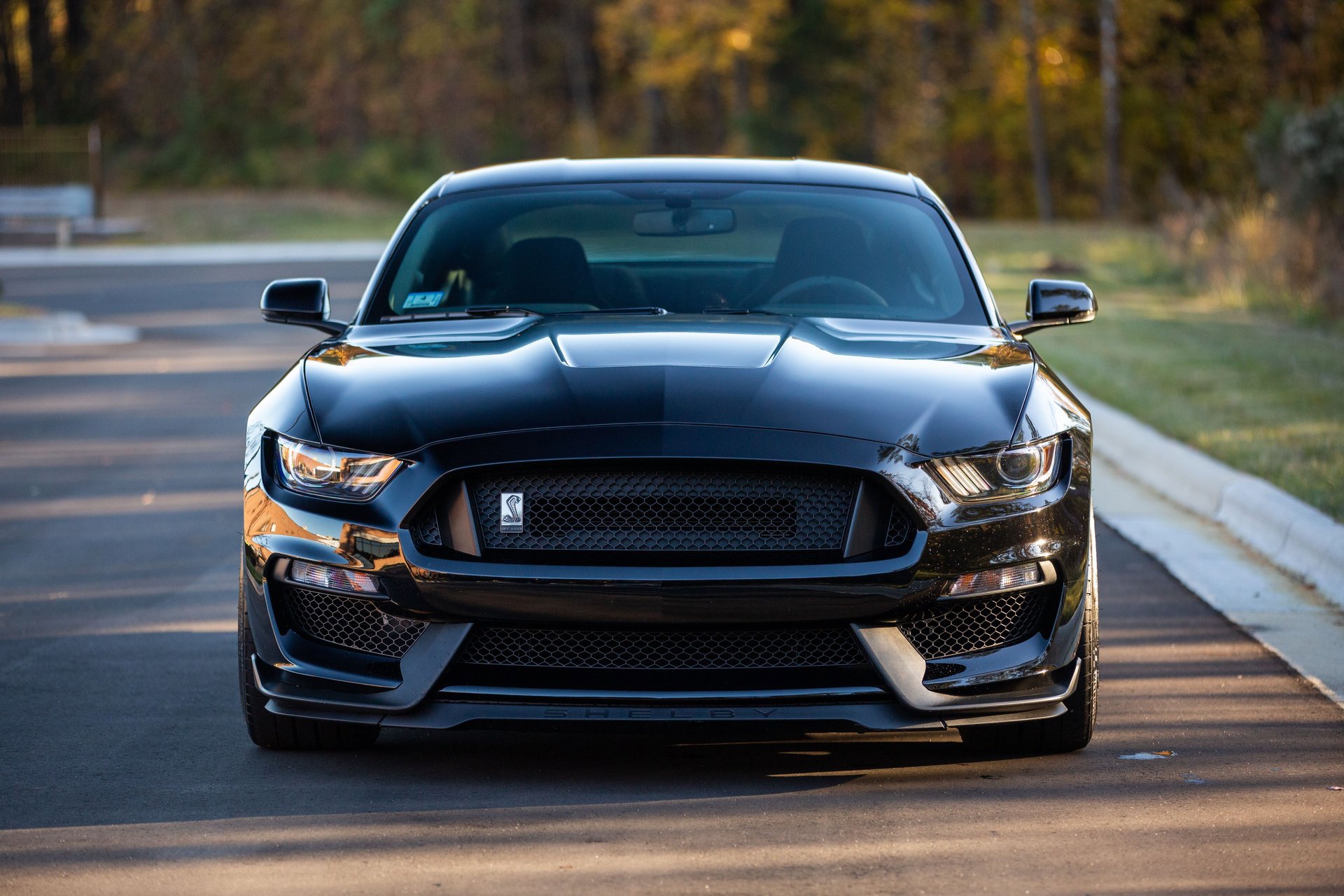 Used 2019 Ford Mustang Shelby GT350 w/ Technology Package image 12