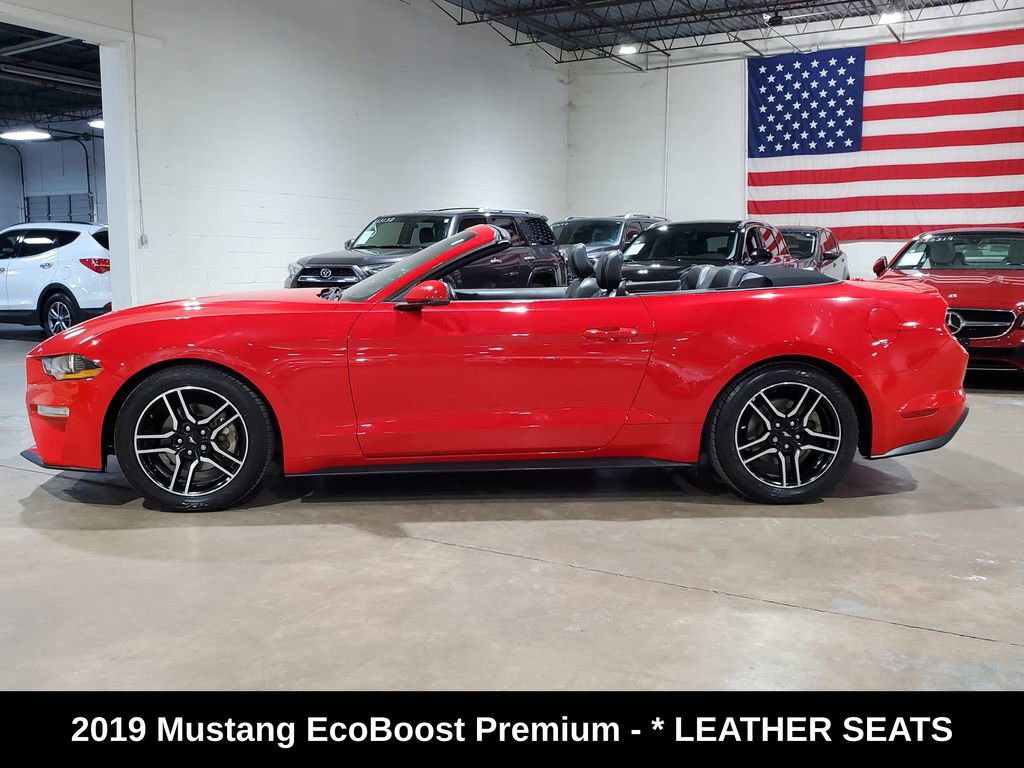 Used 2019 Ford Mustang Premium image 12