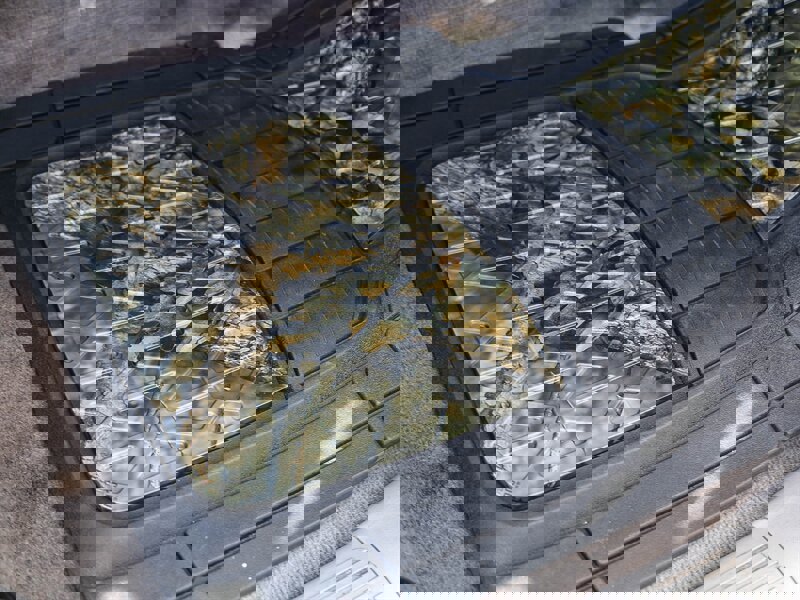 Used 2005 Toyota Tundra SR5 image 23