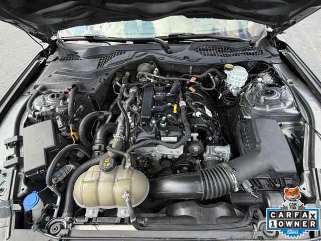 Used 2022 Ford Mustang Coupe RWD image 27