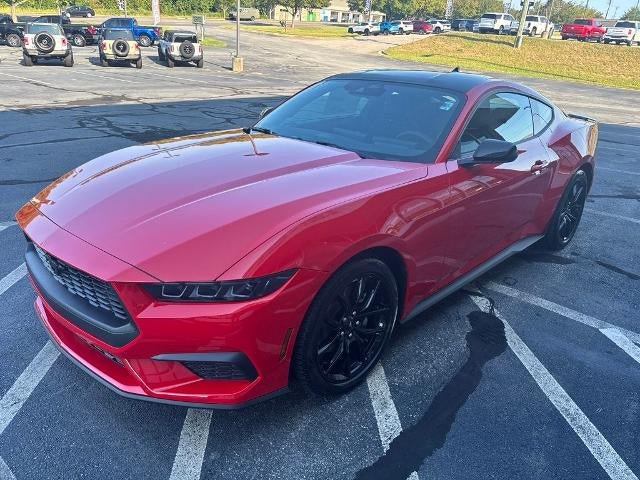 New 2026 Ford Mustang Coupe w/ Mustang Nite Pony Package RWD image 4