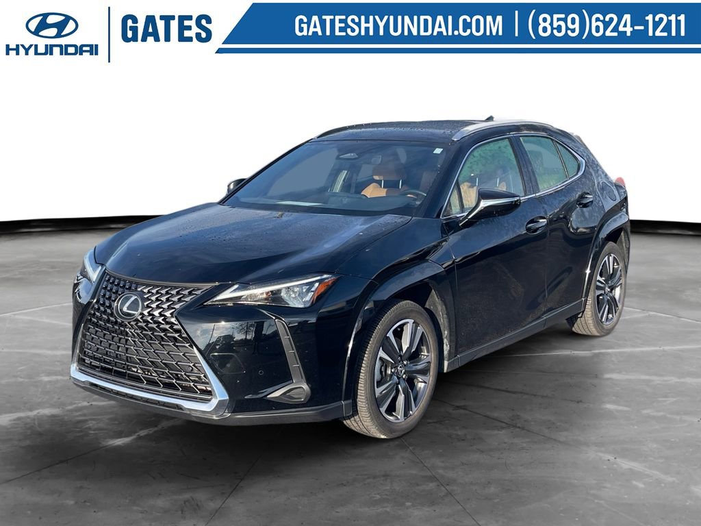 Used 2025 Lexus UX 300h AWD w/ Cold Area Package image 5