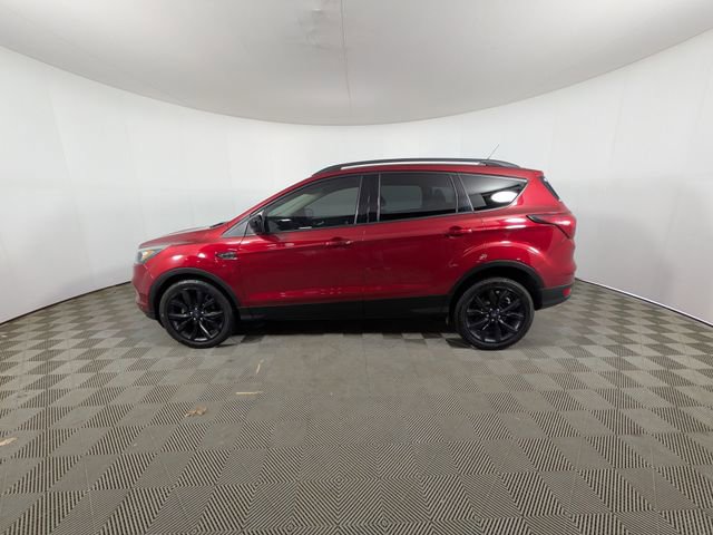 Used 2019 Ford Escape SE FWD image 24