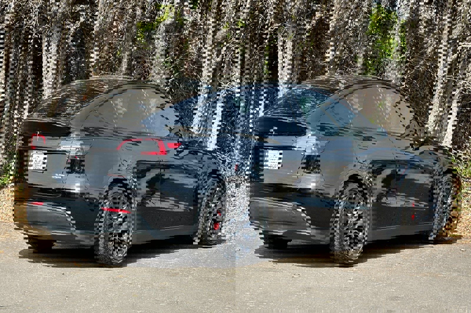 Used 2023 Tesla Model Y Performance image 4