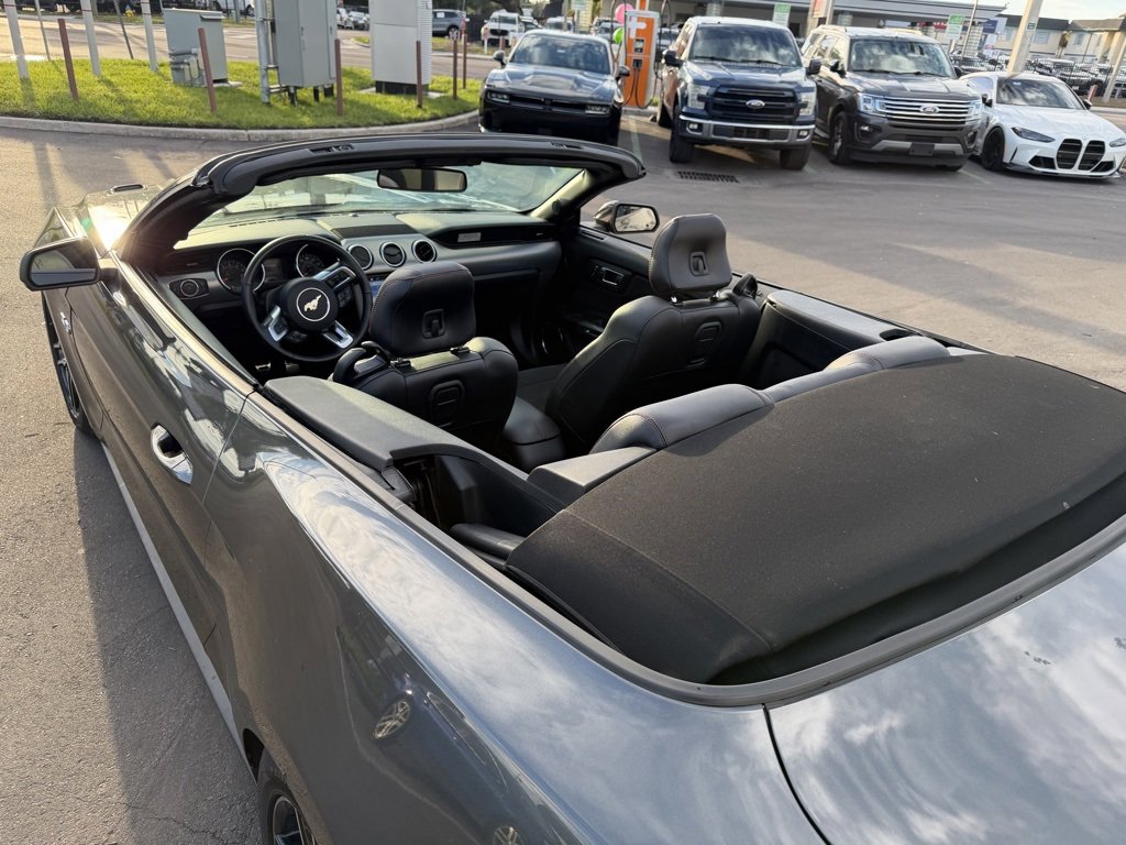 Used 2016 Ford Mustang GT Premium w/ Equipment Group 401A image 14