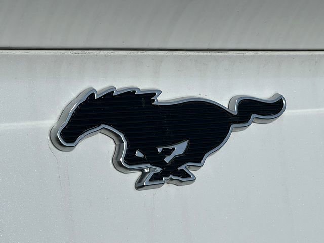 New 2024 Ford Mustang Mach-E Select w/ Comfort Package Lite image 40