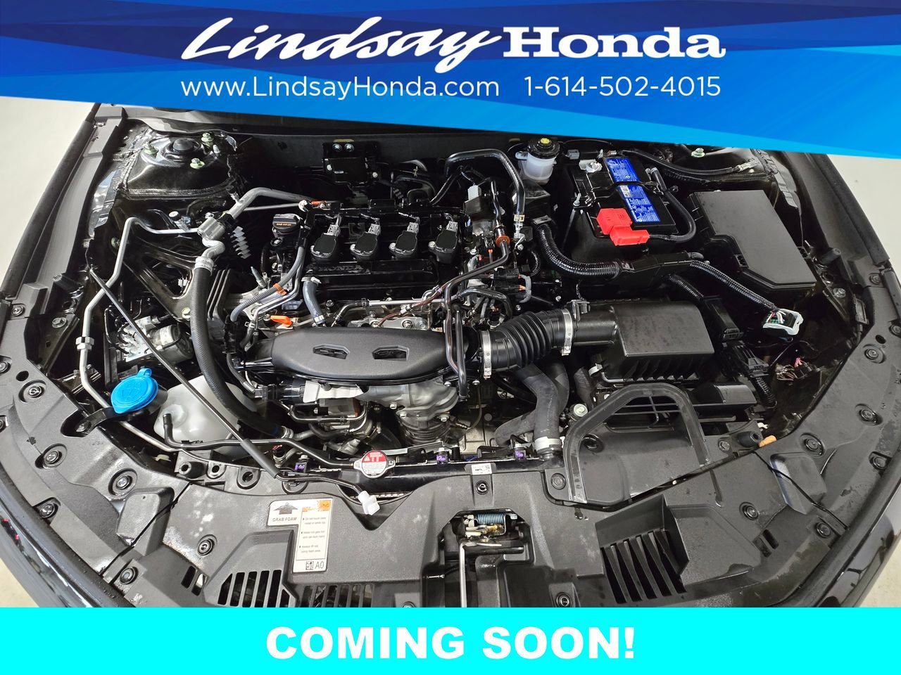 Used 2025 Honda Accord SE image 24