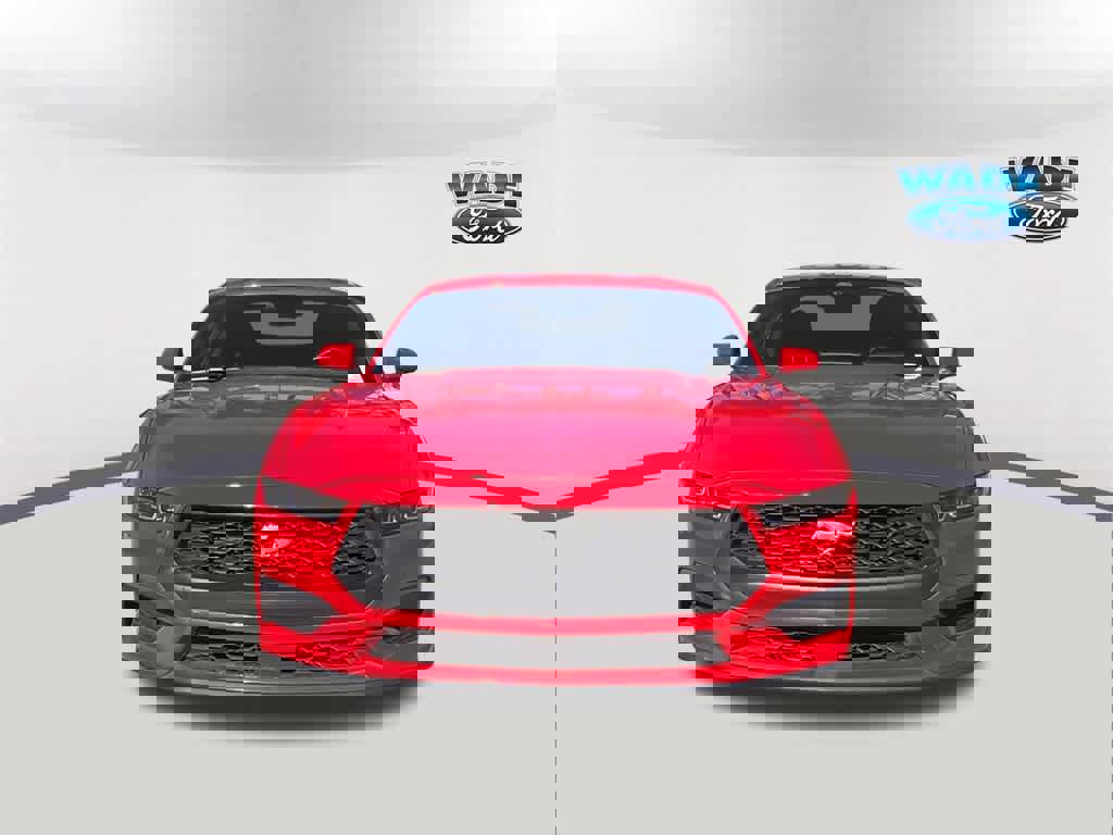 Used 2024 Ford Mustang Coupe image 2