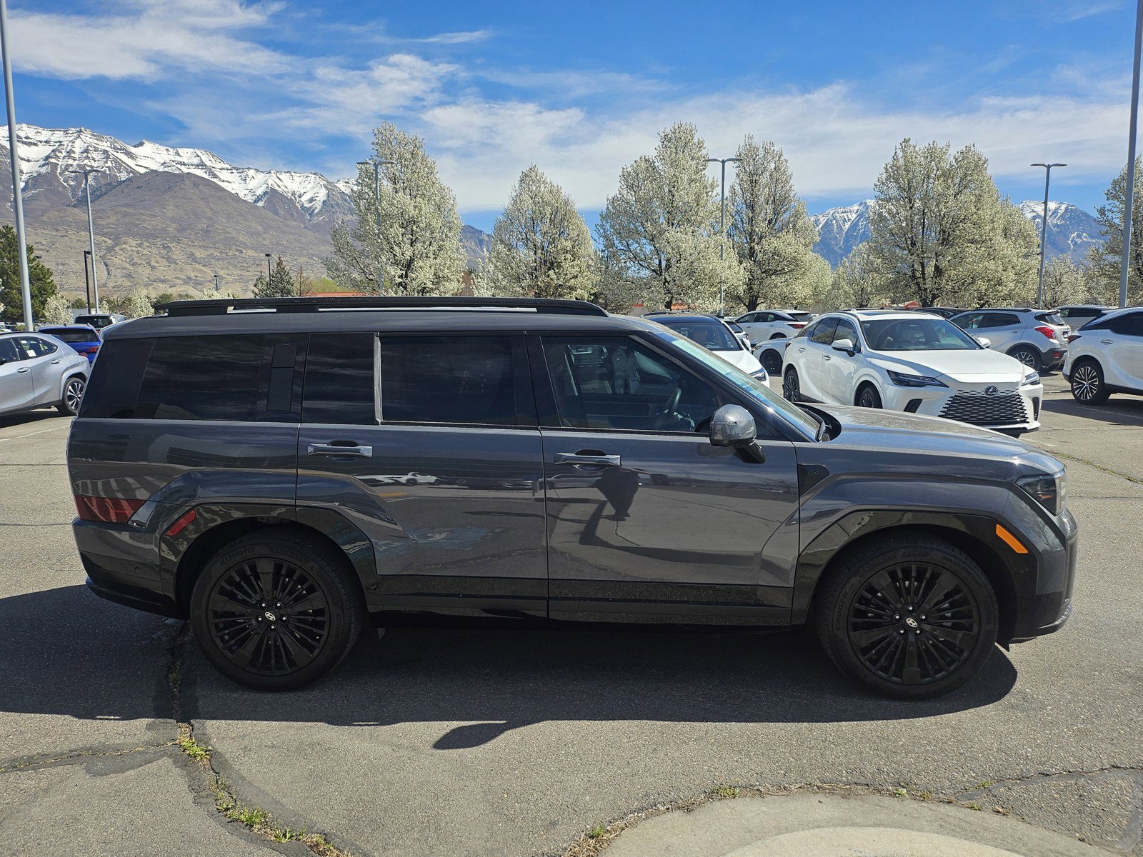 Used 2025 Hyundai Santa Fe Calligraphy AWD/4WD image 4