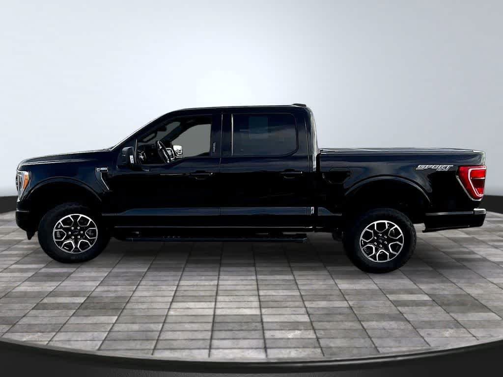 Used 2023 Ford F150 XLT w/ Equipment Group 302A High AWD/4WD image 3