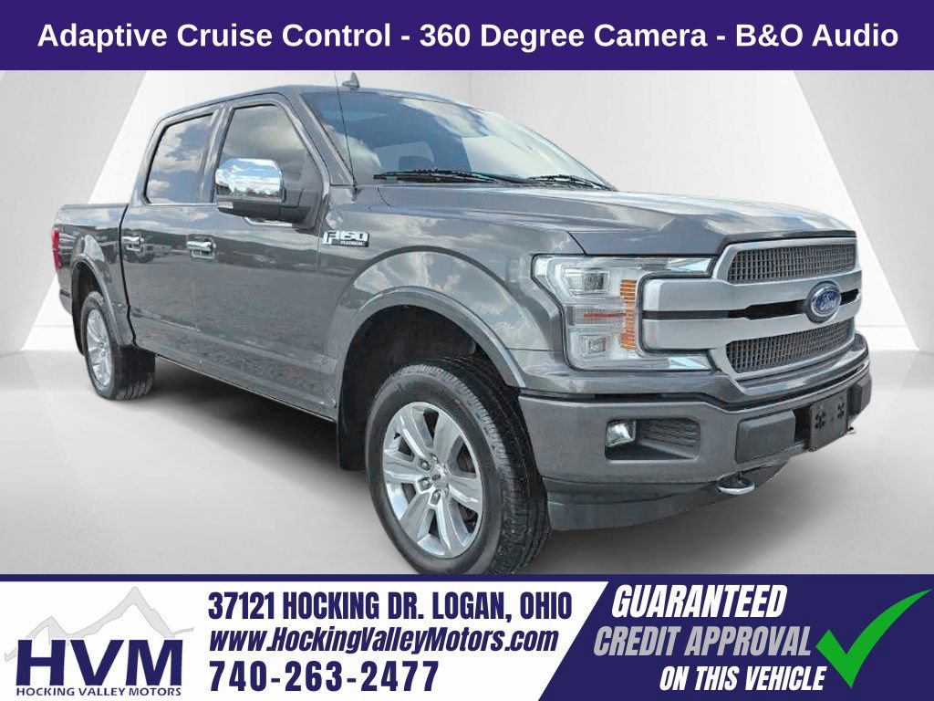 Used 2019 Ford F150 Platinum w/ Equipment Group 701A Luxury AWD/4WD image 1