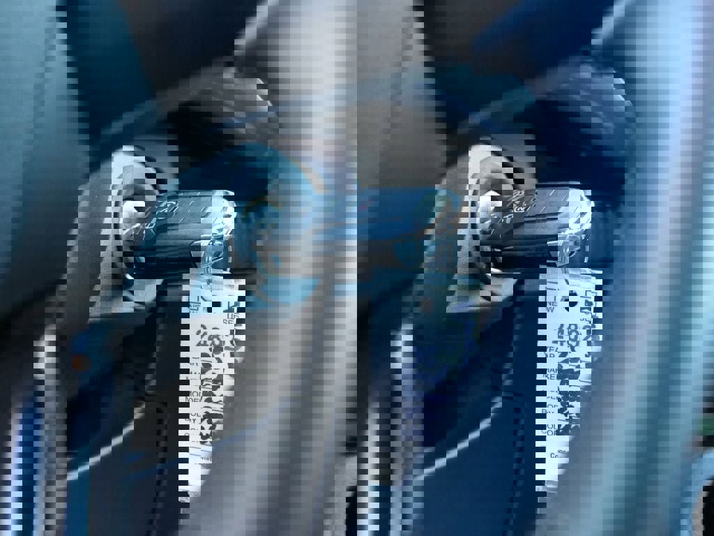 Used 2025 Ford Ranger XLT w/ FX4 Off-Road Package image 20