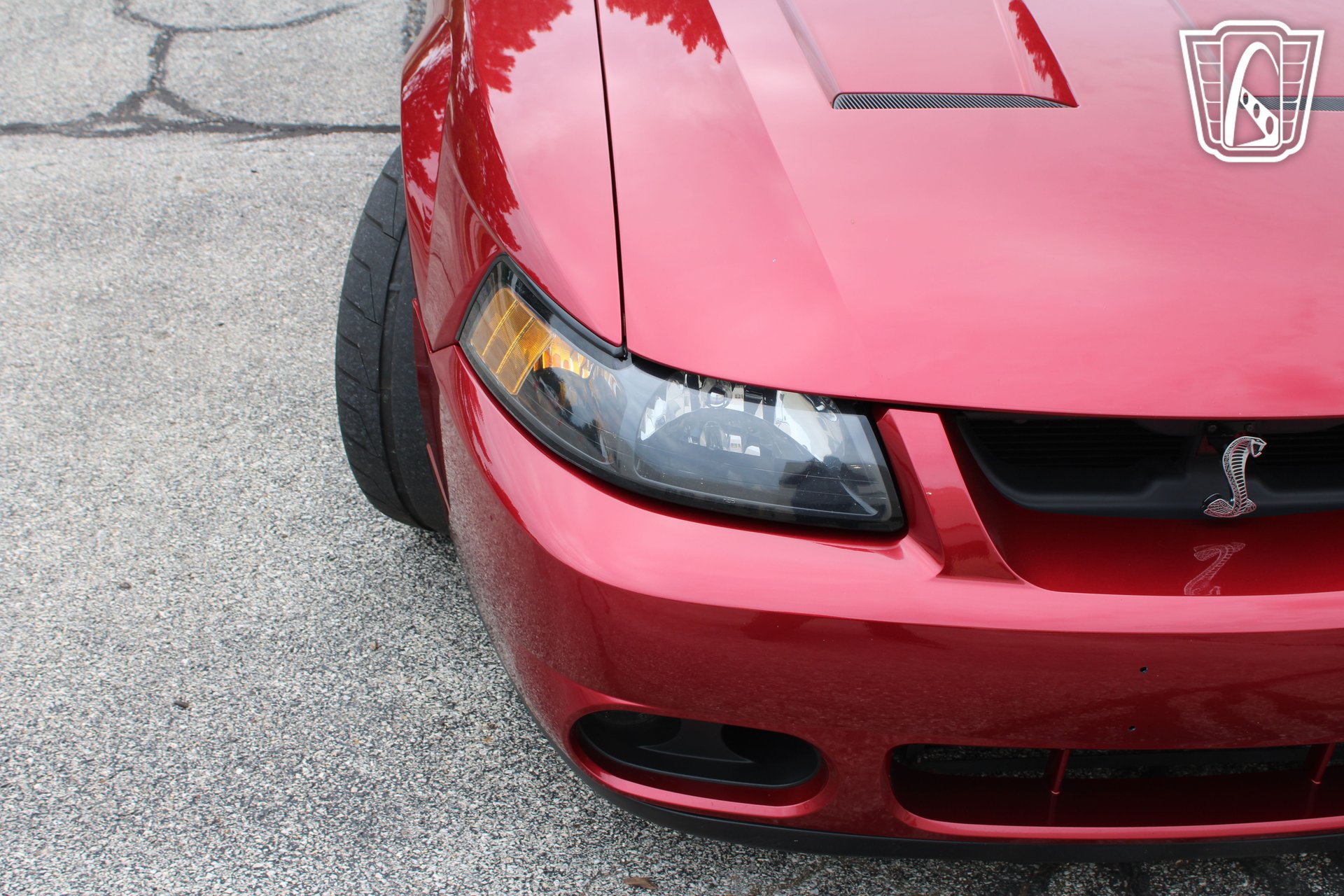 Used 2003 Ford Mustang Cobra RWD image 38