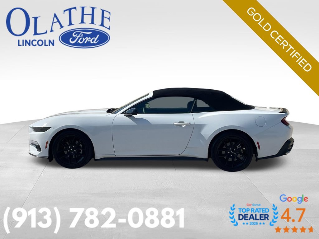 Certified 2025 Ford Mustang Convertible w/ Mustang Nite Pony Package RWD image 3