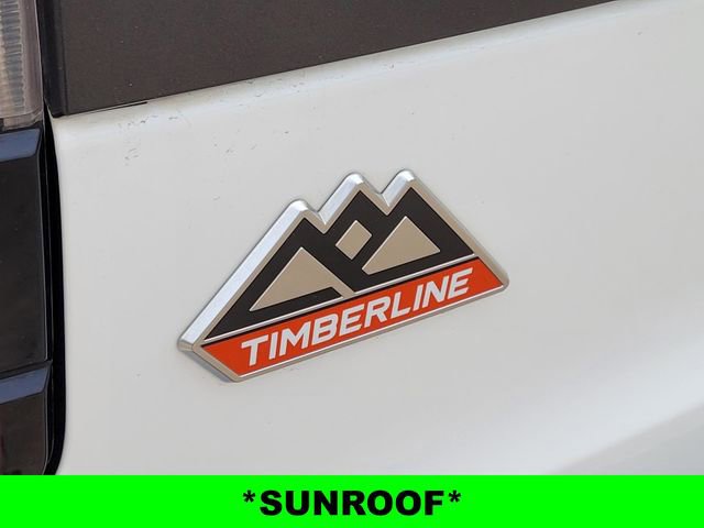 Used 2022 Ford Expedition Timberline AWD/4WD image 11