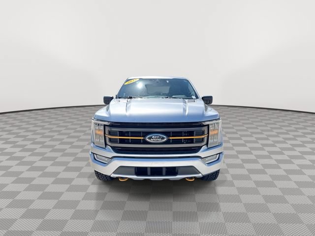 Used 2023 Ford F150 Tremor AWD/4WD image 3