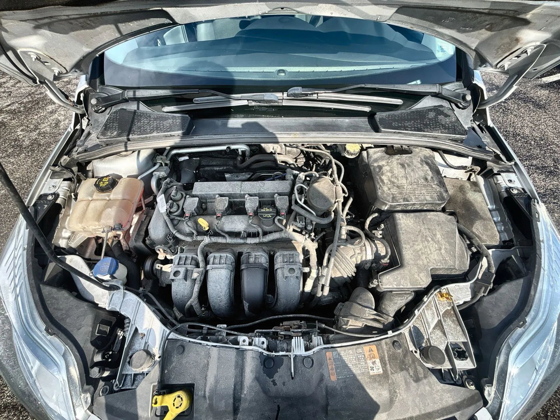 Used 2014 Ford Focus SE w/ SE Winter Package image 17