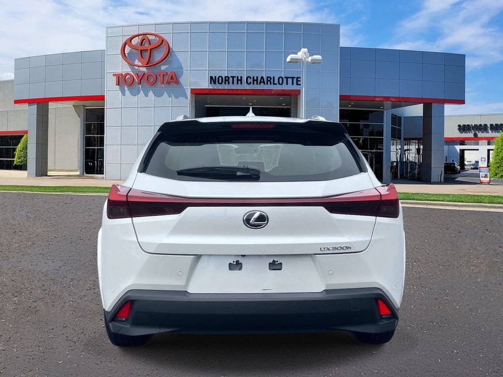 Used 2025 Lexus UX 300h FWD w/ Cold Area Package image 7