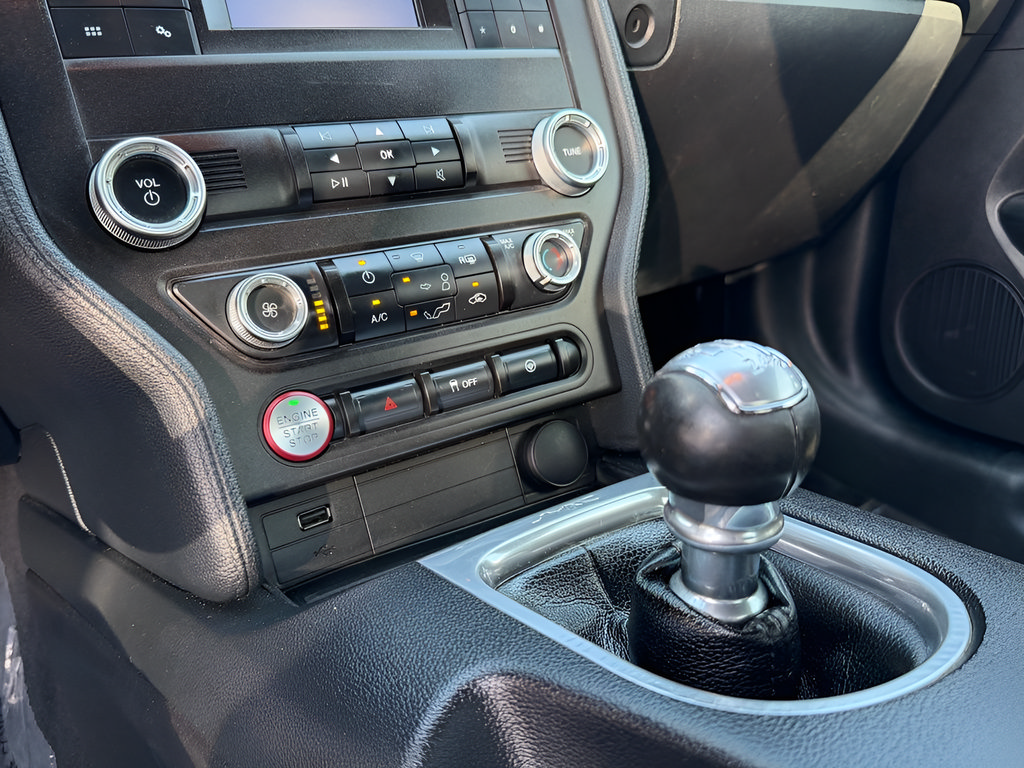 Used 2019 Ford Mustang Coupe RWD image 43