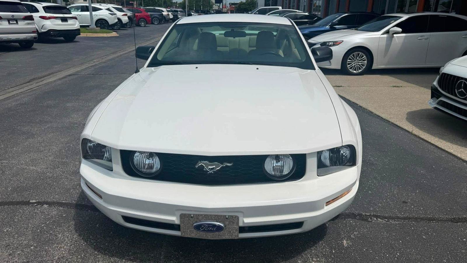 Used 2006 Ford Mustang Coupe RWD image 9