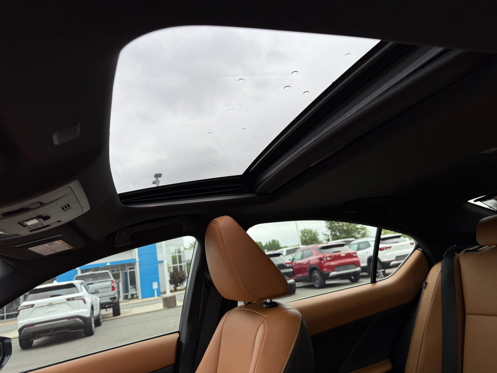 Used 2023 Lexus IS 300 w/ Premium Package image 10