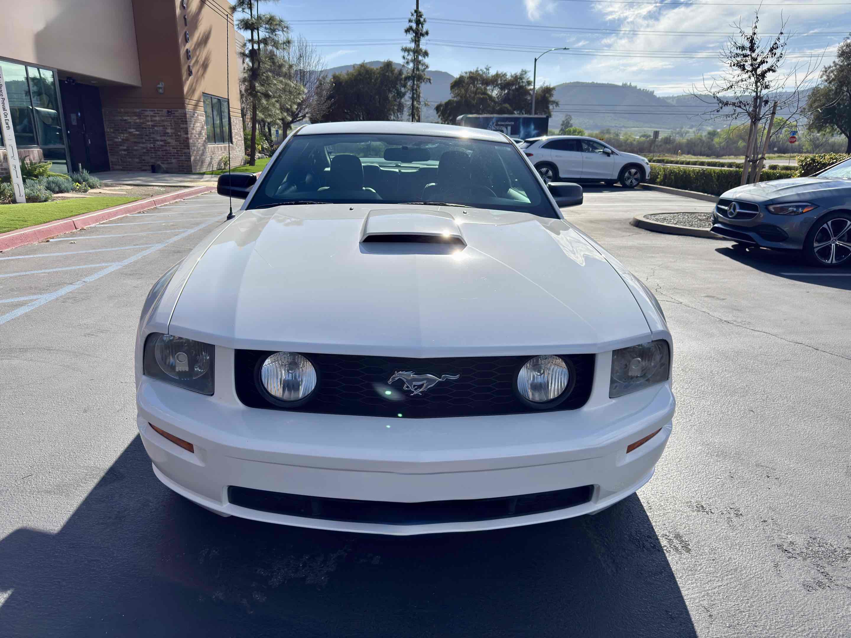 Used 2008 Ford Mustang GT Premium RWD image 5