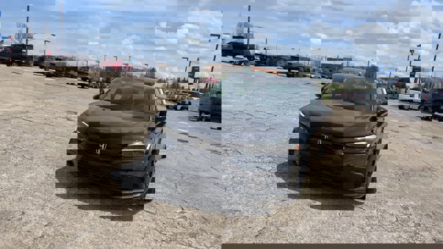 Used 2024 Honda Civic Sport image 4